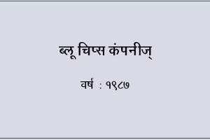 ब्लू चिप्स कंपनीज्